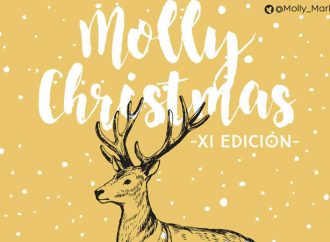 Molly Market Xmas 2016
