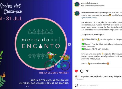 Mercado del Encanto – Noches del Botánico