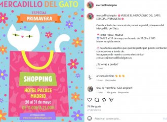 Mercadillo del Gato -Hotel Westin